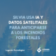 SilvIA aplica inteligencia artificial y datos satelitales para la prevención de incendios forestales.